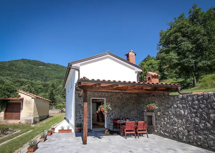 Guest House 'Villa Fani' Veprinac With Jacuzzi