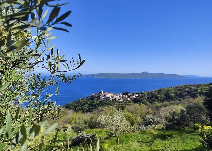 Casa Delle Olive